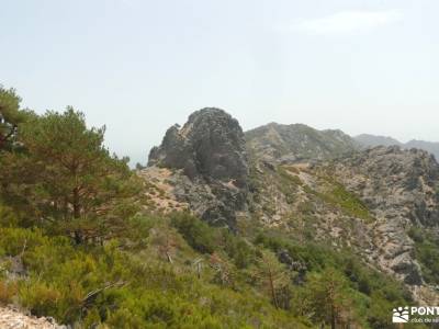 Sierra de Francia: naturaleza que inspira; senderismo con gps gredos rutas asociaciones senderismo r